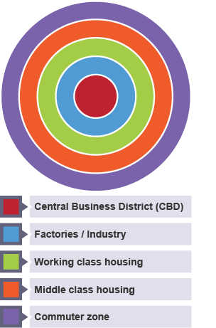 The Burgess model, from the centre outwards: Central Business District (CBD), factories/industry, working class housing, middle class housing, commuter zone.