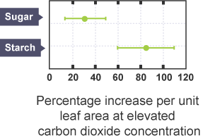 Graph showing how CO2 affects production of glucose and starch in plants