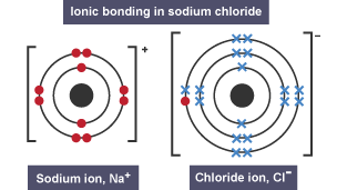 Structures of a sodium ion and a choride ion.