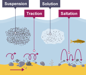 Suspension is sediment carried in the river. Tractions is pebbles rolling along the riverbed. Solution is chemicals dissolved in the water. Saltation are pebbles bounced along the riverbed.