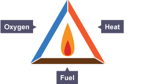 Bbc homework ks3 science