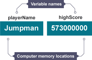 what is a variable computer science