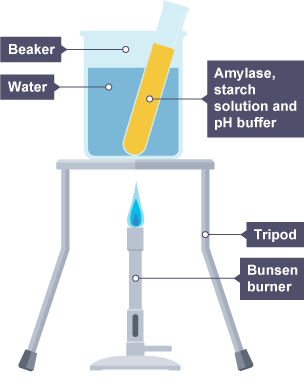 Image showing how to set up the equipment for an experiment