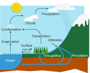 BBC Bitesize - KS3 Geography - The water cycle and river terminology