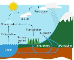 The water cycle - The water cycle and river terminology - KS3 Geography  (Environment and society) Revision - BBC Bitesize