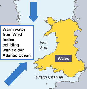 Map of Wales showing the Irish Sea and Bristol Channel, labelled: Warm water from West Indies colliding with colder Atlantic Ocean.