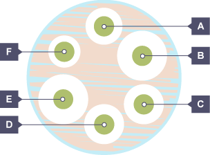 Diagram of a petri dish with antibiotics in it - it is labelled