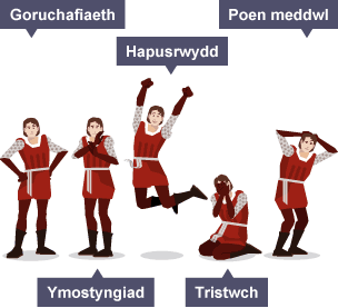 5 math gwahanol o fynegiant y corff: Goruchafiaeth, Ymostyngiad, Hapusrwydd, Tristwch, Poen meddwl