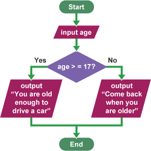 Flowchart for an algorithm designed to work out whether a person is old enough to drive a car