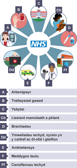 Gwasanaethau’r GIG: Arbenigwyr, Trallwysiad gwaed, Ysbytai, Mamolaeth a lles plant, Brechiadau, Ymwelwyr Iechyd, nyrsio yn y cartref ac ôl-ofal bobl sâl, Ambiwlansys, Meddygon Teulu, Canolfan Iechyd.