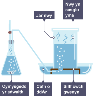 Nwy o gymysgedd adwaith yn teithio trwy bibell i gafn o ddŵr ac yn byrlymu drwy silff cwch gwenyn i mewn i jar nwy o ddŵr. Mae’r nwy yn casglu yn y top, gan orfodi dŵr allan i'r cafn.