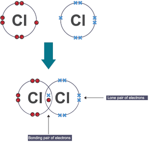 Two chlorine atoms covalently bond to form a chlorine molecule. Both atoms have 7 electrons in their outer shells.