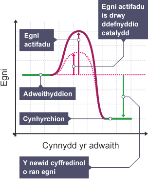 Graff egni yn erbyn hynt adwaith sydd wedi'i gatalyddu. Mae angen llai o egni i ddechrau'r adwaith, ond mae cyfanswm y golled net yn aros yn gyson.