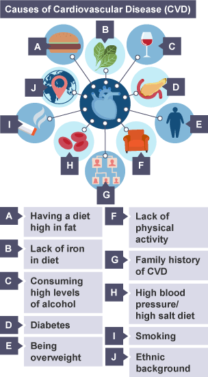 Priority Health Issues - Cardiovascular Disease