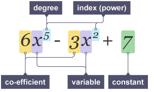 What is a polynomial? - Dividing and factorising polynomial expressions ...