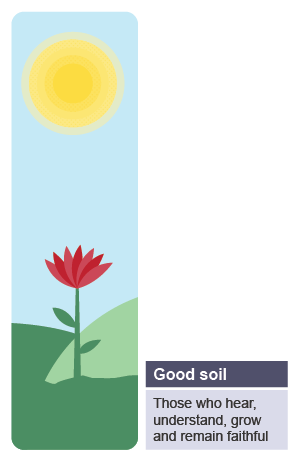 The seeds that landed here grew well, but some grew better than others.