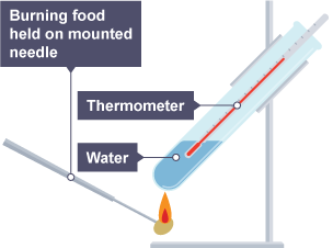 bbc bitesize energy in food experiment