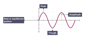 Labelled diagram of different parts of a transverse wave
