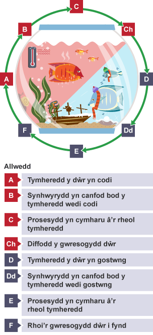 Esboniad o sut mae synwyryddion gwresogi’n gweithio mewn tanc pysgod.