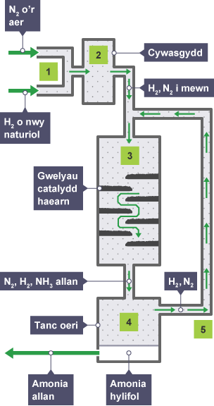 Mae hydrogen o nwy naturiol a nitrogen o aer yn cael eu cyfuno ar wasgedd o 200 atmosffer a thymheredd o 450 °C gan ddefnyddio catalydd haearn, i gynhyrchu amonia.