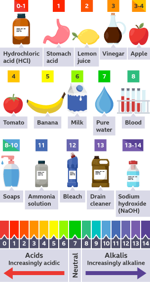 A chart showing the pH scale and foods and liquids which have that pH, for example pure water is neutral 7, a banana is 5, and bleach is 12