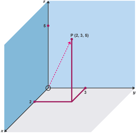 2D and 3D shapes - BBC Bitesize