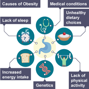 Priority Health Issues – Obesity