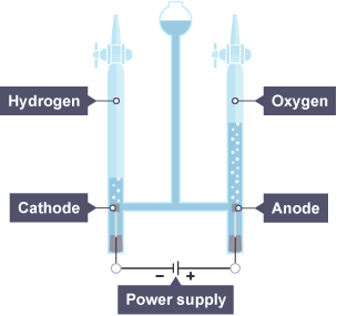 The Hoffman Voltmeter set-up, for electrolysing water.