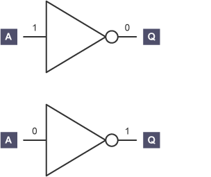 Two separate NOT gates representing a TRUE and a FALSE output