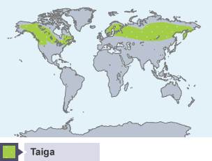 BBC Bitesize - GCSE Geography - Coniferous woodland - Revision 1