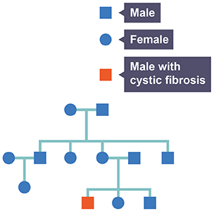 Pedigree diagram