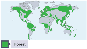 Map shows areas of forest at around 8000 BC