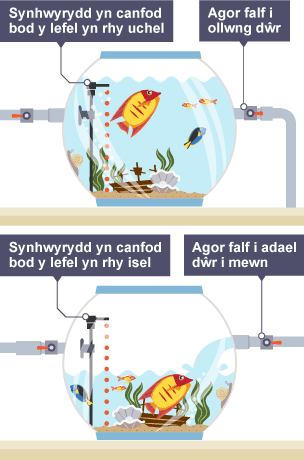 Cylchred adborth yn defnyddio synwyryddion i ganfod lefelau dŵr mewn tanc pysgod.