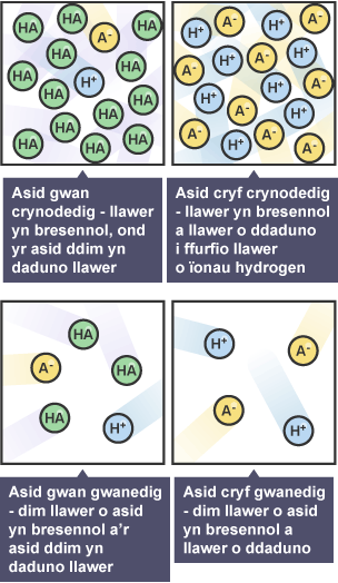 Diagramau gyda disgrifiadau ar gyfer: Asid gwan crynodedig; Asid cryf crynodedig; Asid gwan gwanedig; Asid cryf gwanedig.