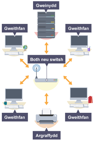 Esboniad o gysylltiad rhwydwaith seren.