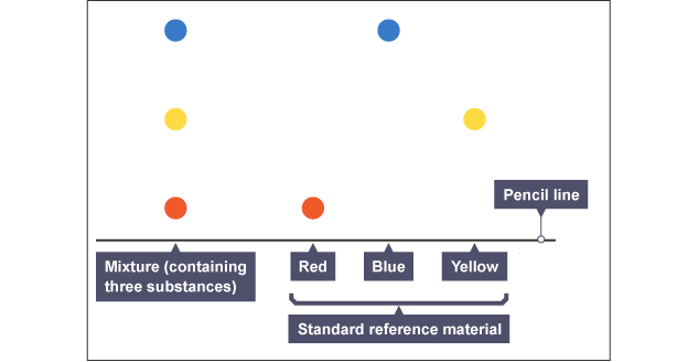 A chromatogram, the results of a chromatography experiment