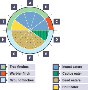 Figure 9 shows information about ten species of finch, from A to J.