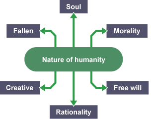 A flow-chart showing the Christian beliefs about the nature of humanity, with the words 'Fallen', 'Soul', 'Morality', 'Free will', 'Rationality' and 'Creative' labelled.