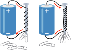 Two batteries. One is attached to nail with a wire round it with a few turns. The nail picks up 2 paperclips. The other is attached to a nail with more turns around it. 4 nails are picked up.