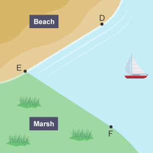 A diagram  showing a Beach and a Marsh with points labelled D, E and F