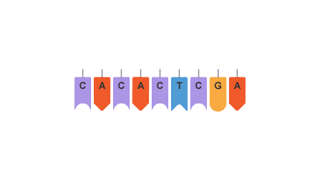 All mutations and their apperances?