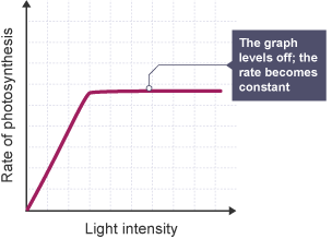 Graph showing how increasing the light intensity increases the rate of photosynthesis