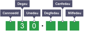 Diagram yn egluro rhannu degolyn â 1000