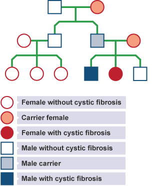 Cystic fibrosis family tree showing carriers and sufferers