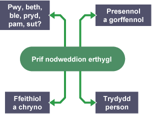 Siart corryn i gynrychioli prif nodweddion erthygl.