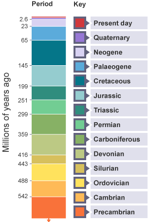 BBC Bitesize - GCSE Geography - Classification of rocks - Revision 1