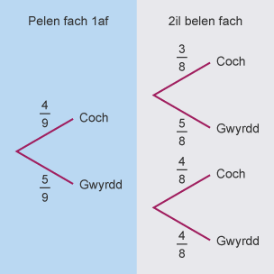 Diagram cangen yn dangos y tebygolrwydd ar gyfer tynnu’r belen fach gyntaf a’r ail