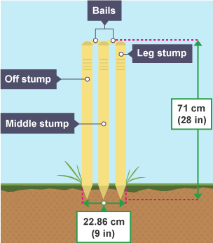 Wickets are 71 cm high (including points) and collectively 22.86 cm wide. The three stumps are the off stump, middle stump and leg stump, and the balls are placed on top.