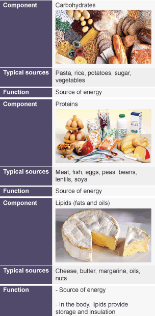 Bbc Bitesize Gcse Biology Diet Revision 1 5623