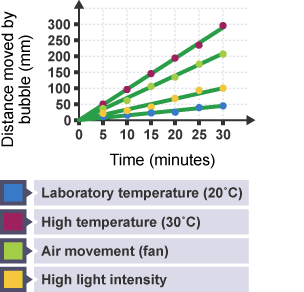 Graph showing factors affecting water uptake by a type of plant
